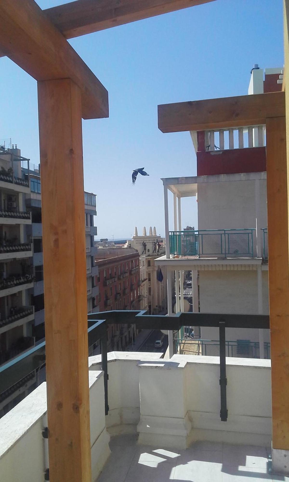 Monolocale Sonnino Villa Cagliari Esterno foto